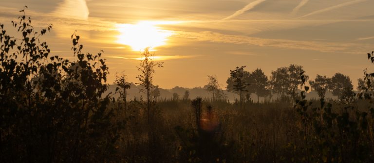 Natuurbegraafplaats Maashorst – foto 3