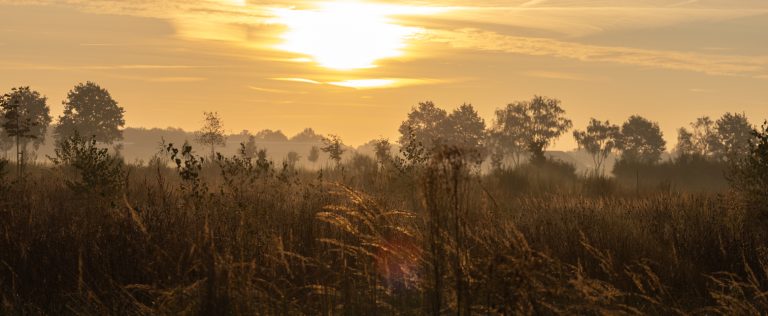 Natuurbegraafplaats Maashorst – foto 2