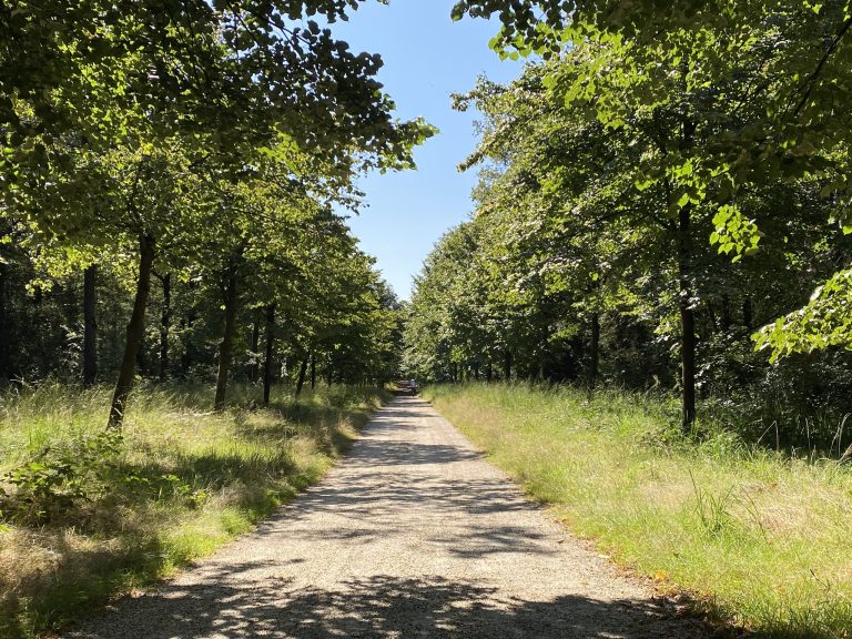 Natuurbegraafplaats Landgoed Mookerheide – foto 4